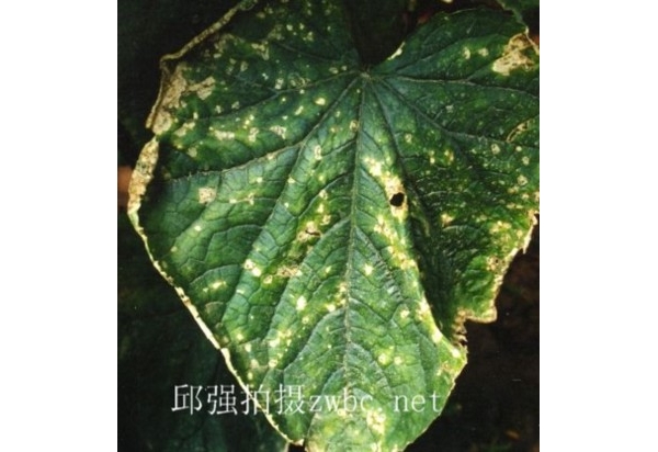  ����ݺ� forum