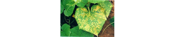  ����ݺ� forum