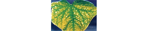  ����ݺ� forum