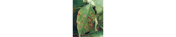  ����ݺ� forum