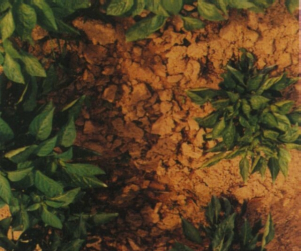  ����ݺ� 1209573odc3eosqerpti3a