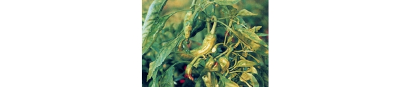  ����ݺ� 120935ksaz5z0j54aejg8e