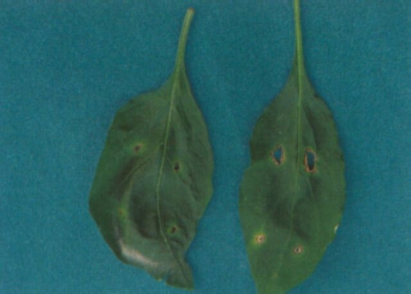  ����ݺ� forum