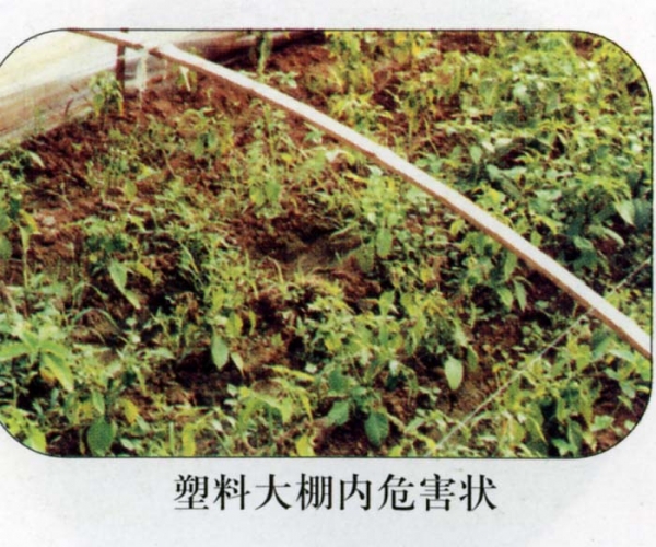  ����ݺ� forum