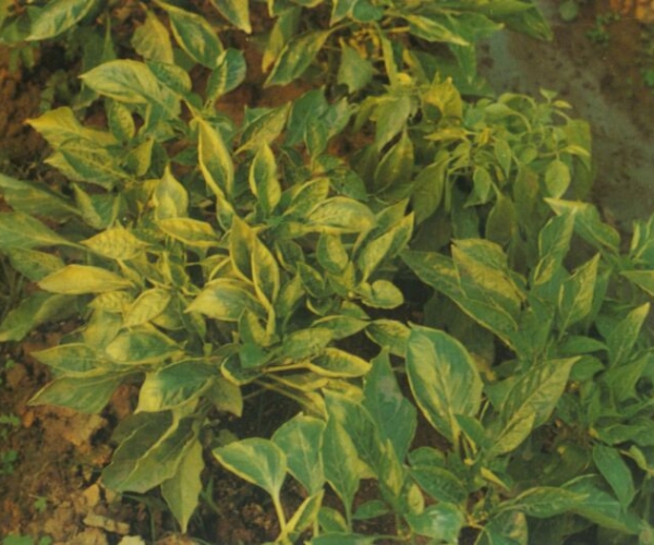  ����ݺ� 121322qscvqaazb3bwq1r3