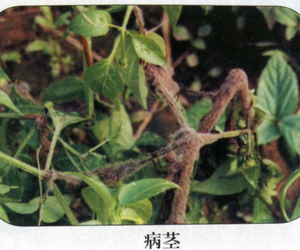  ����ݺ� forum