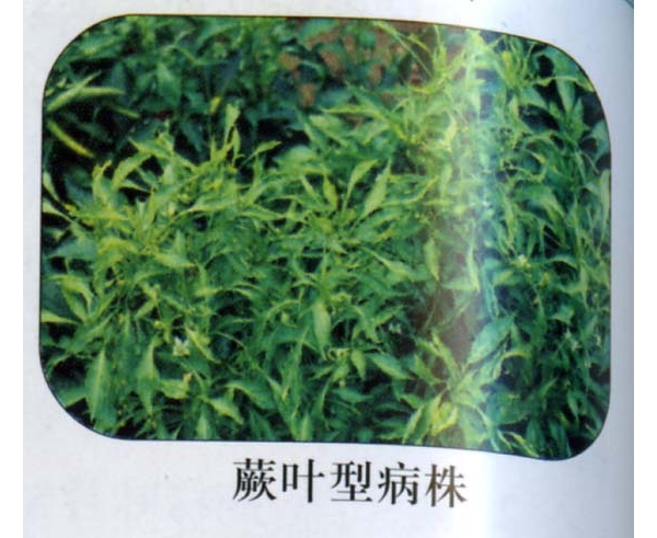  ����ݺ� forum