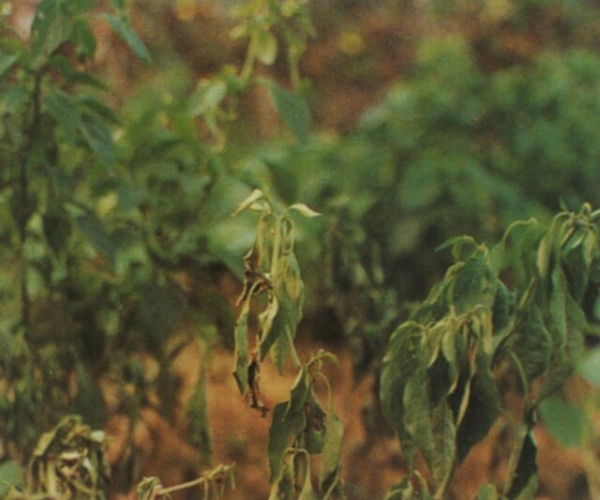  ����ݺ� forum