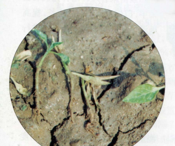  ����ݺ� forum