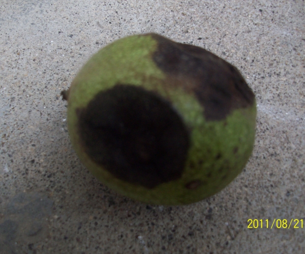  �߲�ר�� forum