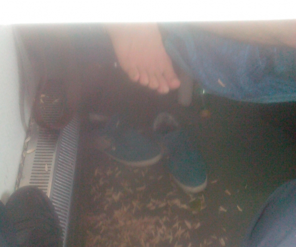  ũҵ���� forum