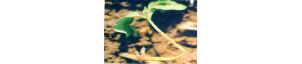  ����ݺ� forum