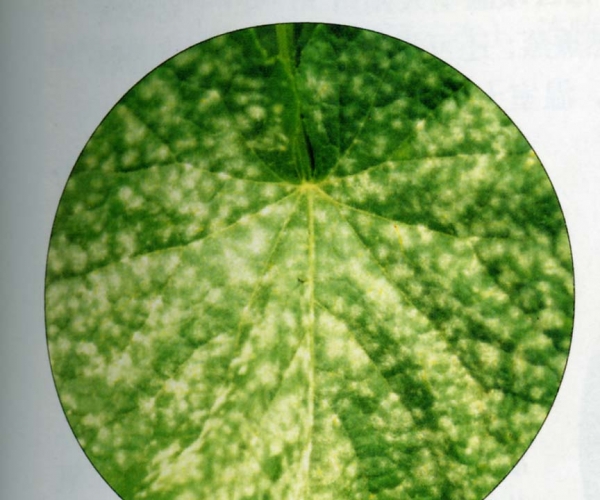  ����ݺ� forum