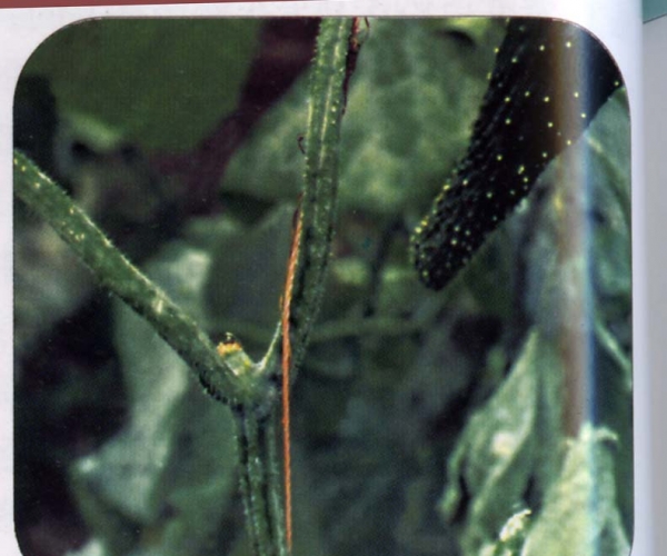  ����ݺ� forum