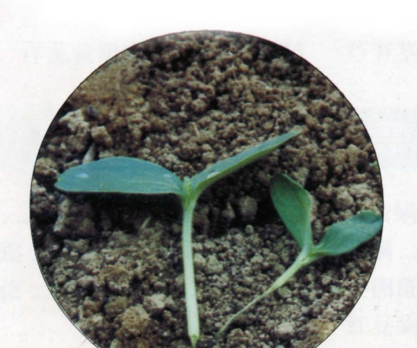  ����ݺ� forum