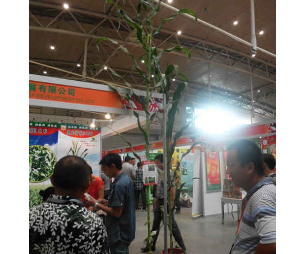  ũҵ���� forum