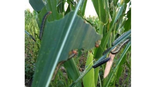  ����ݺ� forum