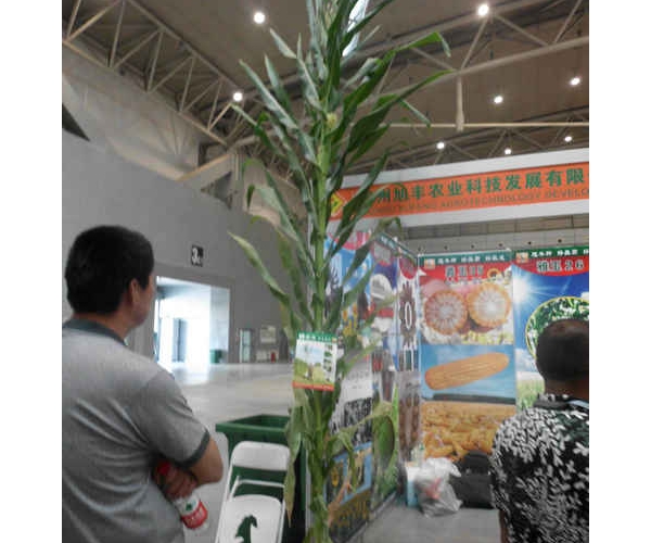  ũҵ���� forum