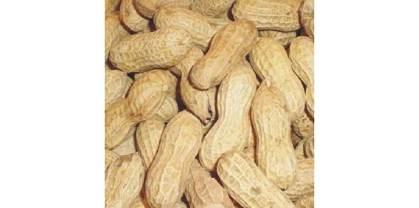  ũϢ 1440034xherfrfnki22kfm