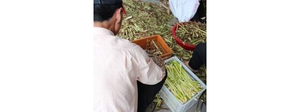  ũ����Ϣ 144129e2l66mv83m8tx2t2