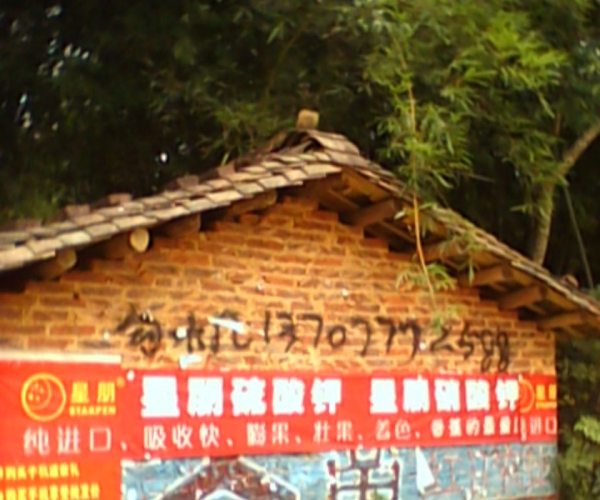  ũϢ forum