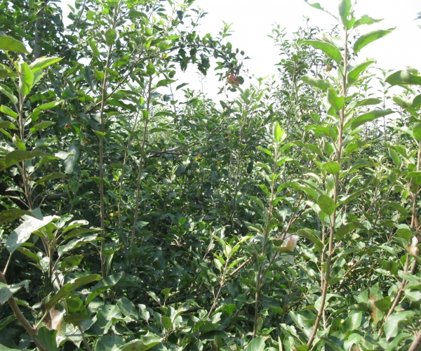  ����ݺ� forum