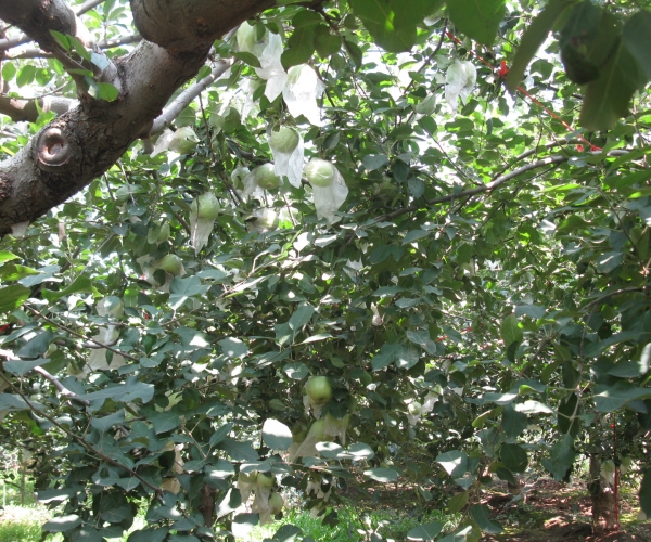  ����ݺ� forum