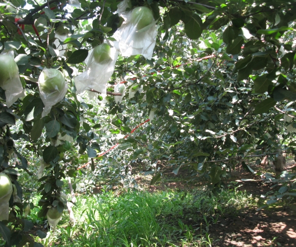  ����ݺ� forum