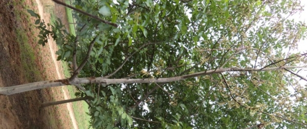  ����ݺ� forum