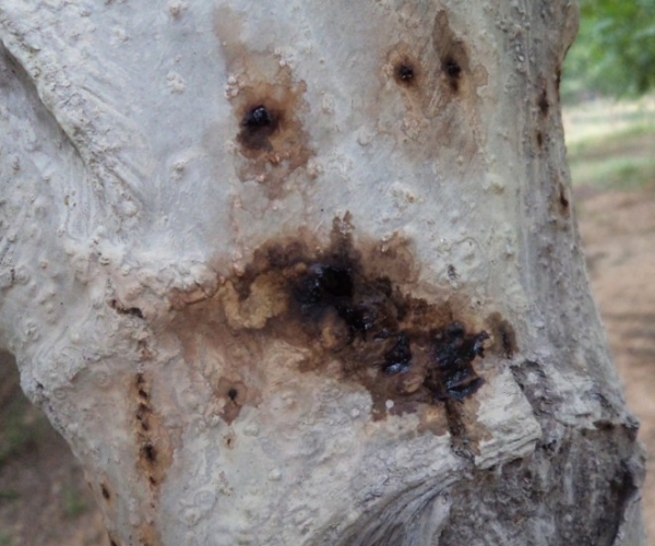  ����ݺ� forum