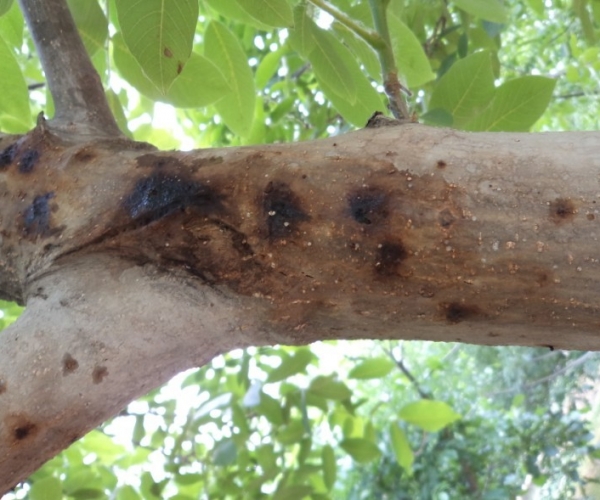  ����ݺ� forum