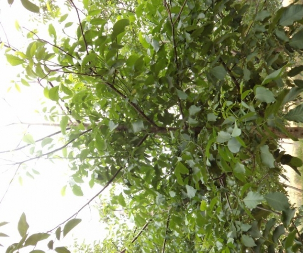  ����ݺ� forum