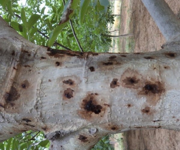  ����ݺ� forum