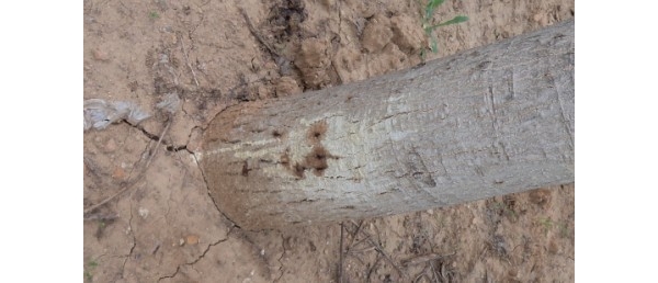  ����ݺ� forum