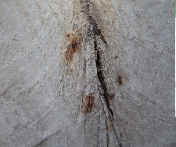  ����ݺ� forum