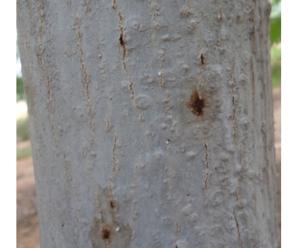  ����ݺ� forum