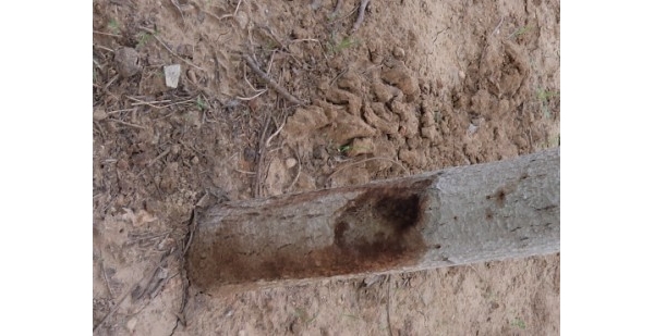  ����ݺ� forum