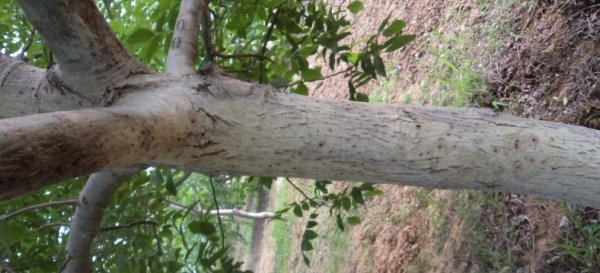  ����ݺ� forum