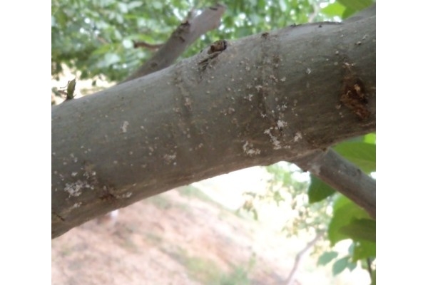  ����ݺ� forum