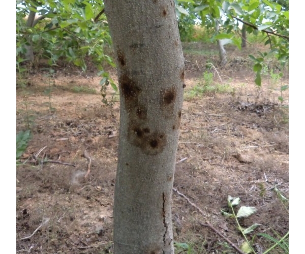  ����ݺ� forum