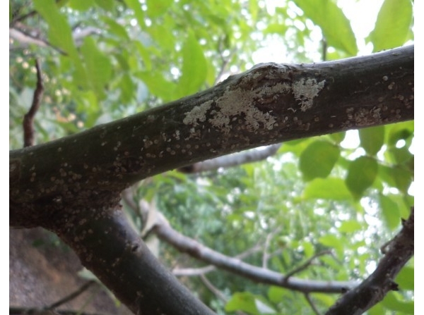  ����ݺ� forum