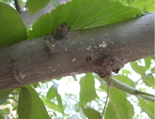  ����ݺ� forum