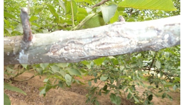  ����ݺ� forum