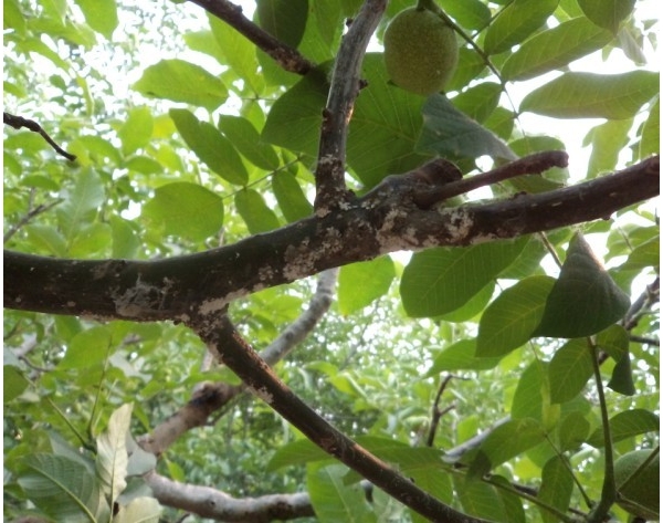  ����ݺ� forum