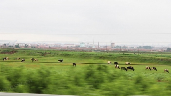  ũҵ¿�� 130615hocb3uccc22pabwg