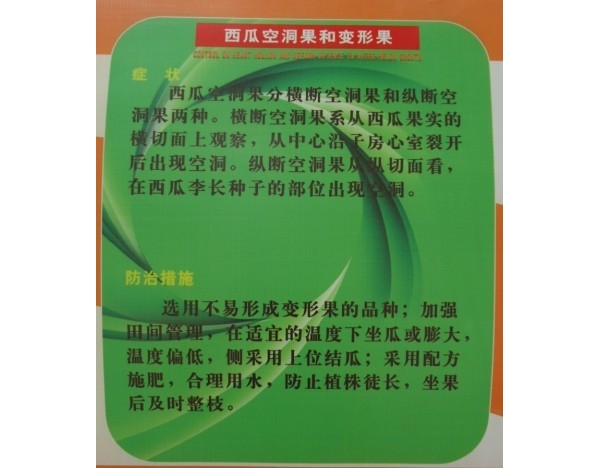  ����ݺ� forum