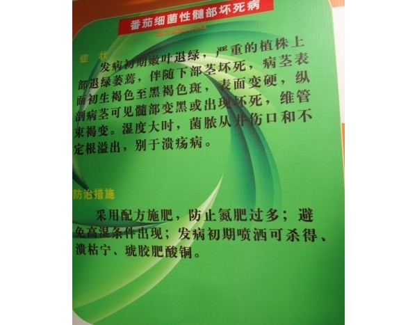  ����ݺ� forum