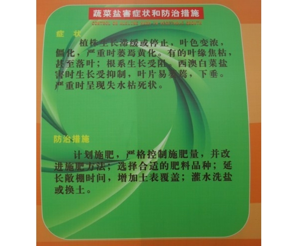  ����ݺ� forum