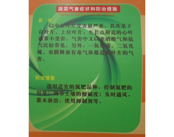  ����ݺ� forum