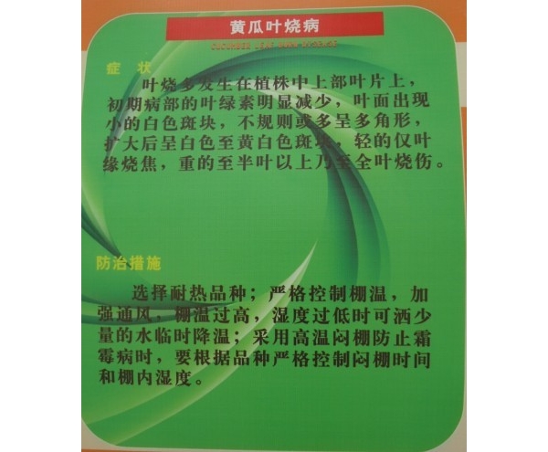  ����ݺ� forum